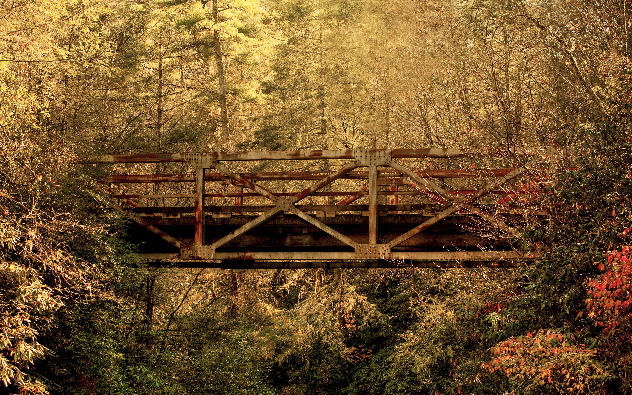 Wood Bridge Forest In Fall Wallpapers