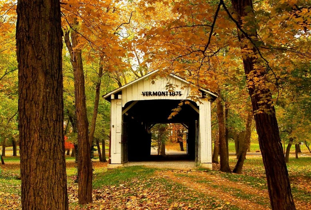 Wood Bridge Forest In Fall Wallpapers