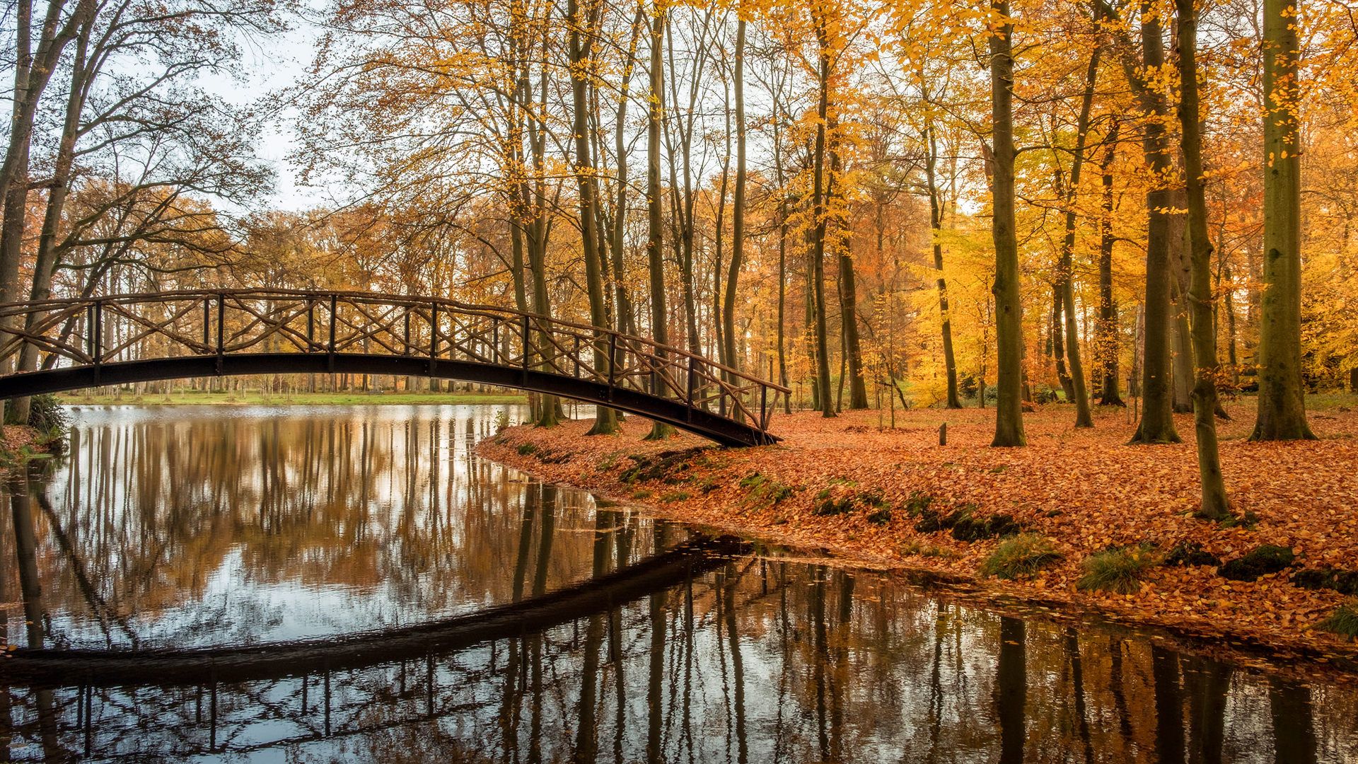 Wood Bridge Forest In Fall Wallpapers