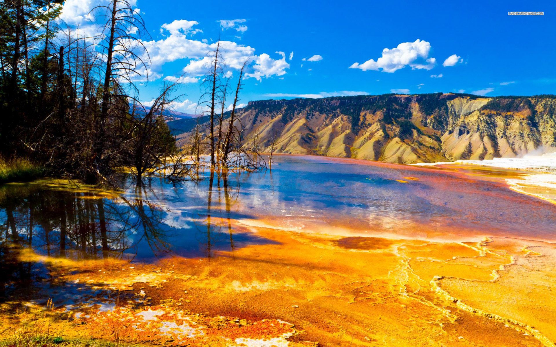 Yellowstone National Park Wallpapers