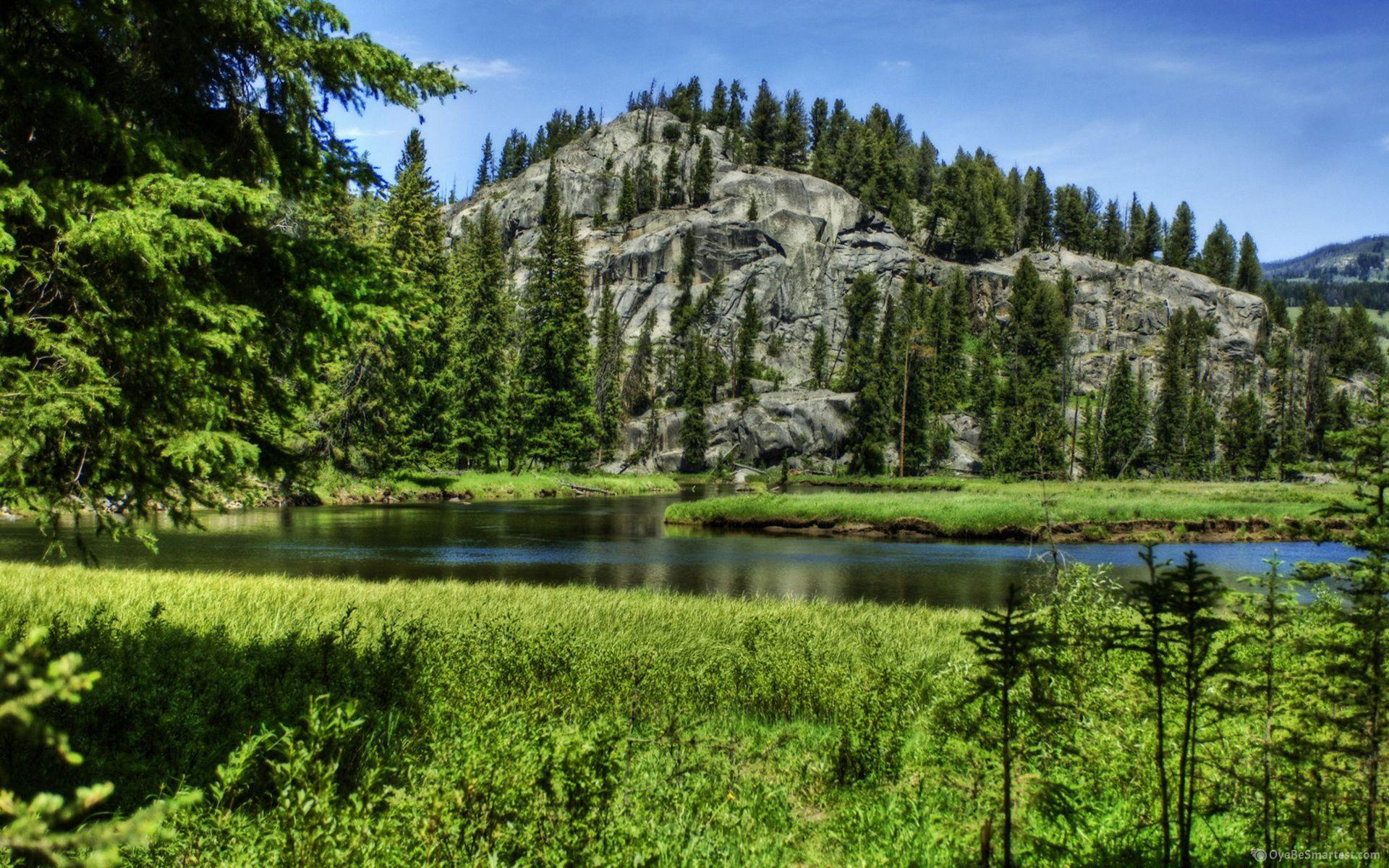 Yellowstone National Park Wallpapers