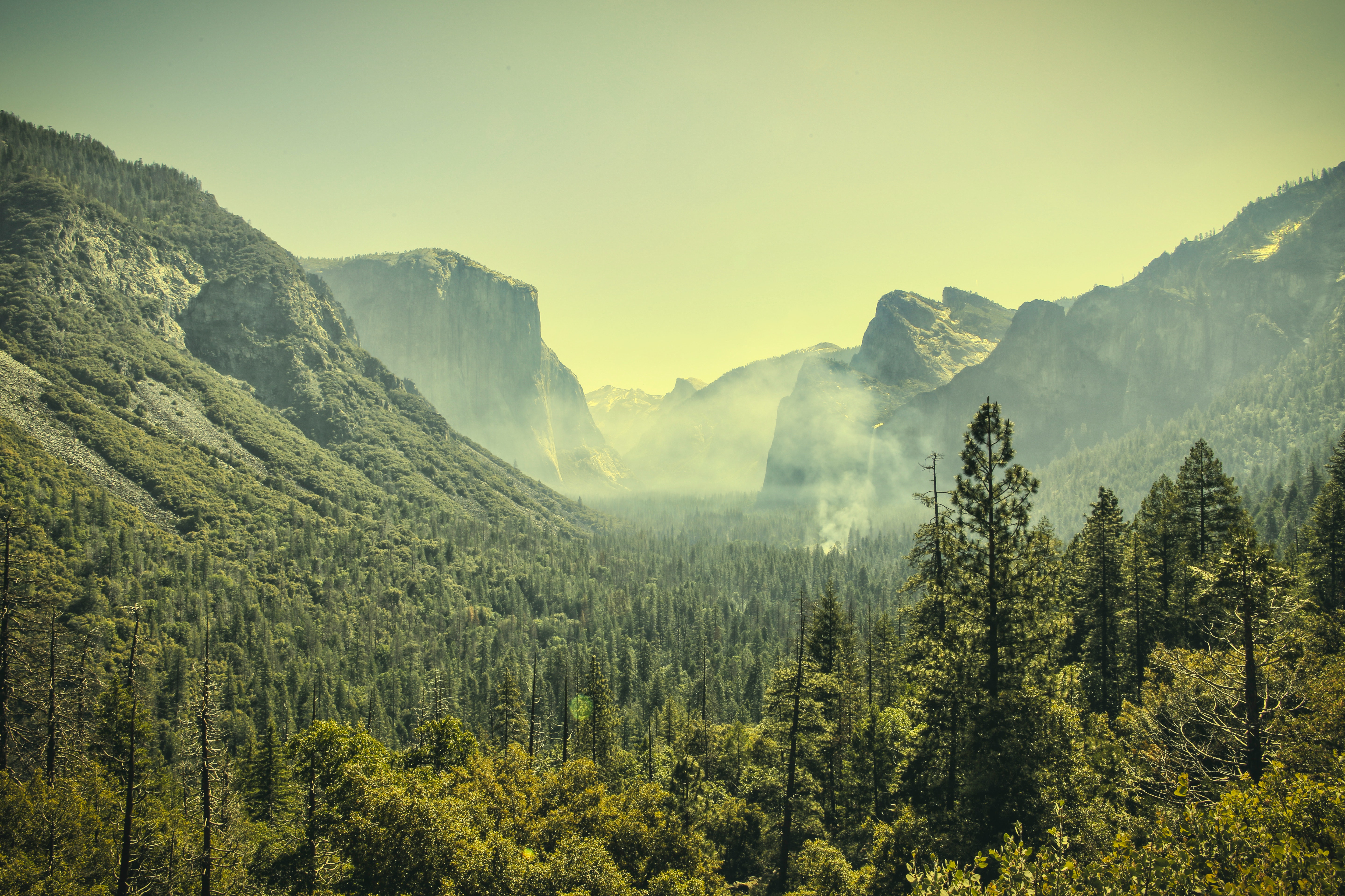 Yosemite National Park 4K Photography 2021 Wallpapers