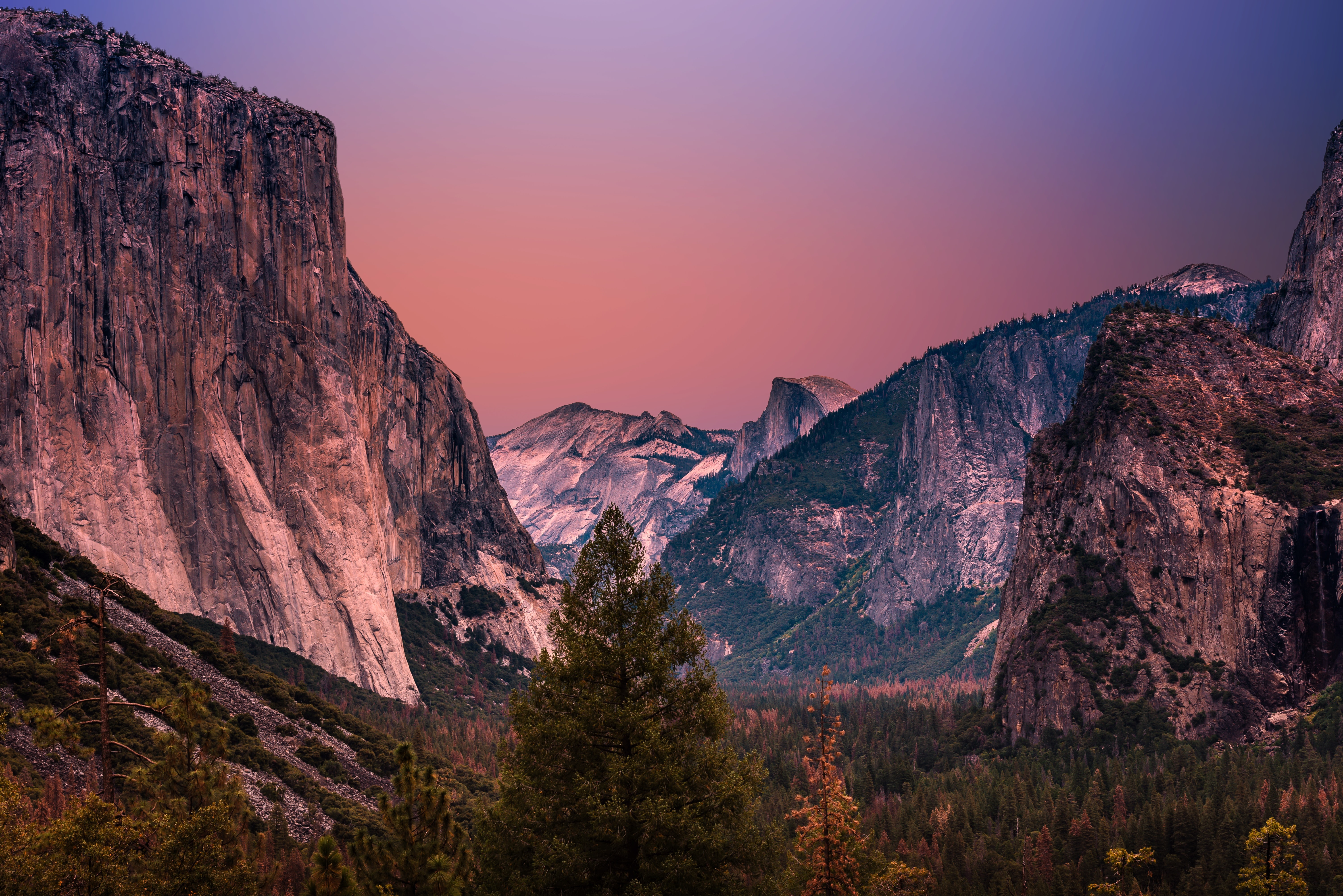 Yosemite National Park 4K Photography 2021 Wallpapers