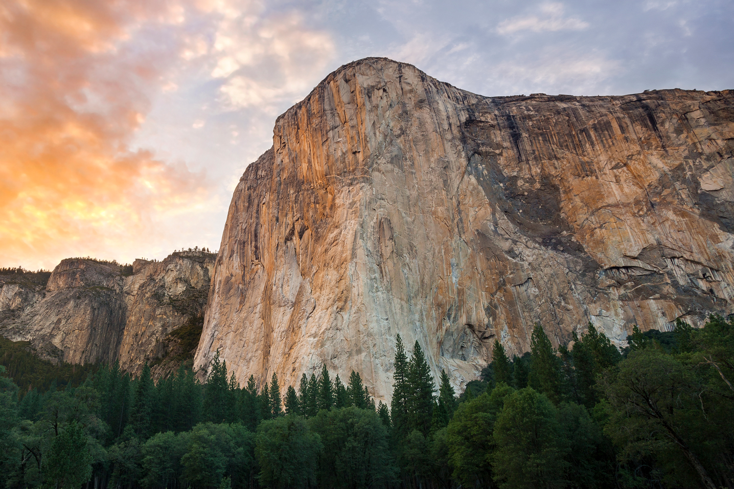 Yosemite National Park 4K Photography 2021 Wallpapers