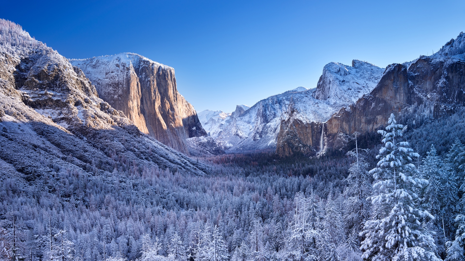 Yosemite National Park 4K Photography 2021 Wallpapers