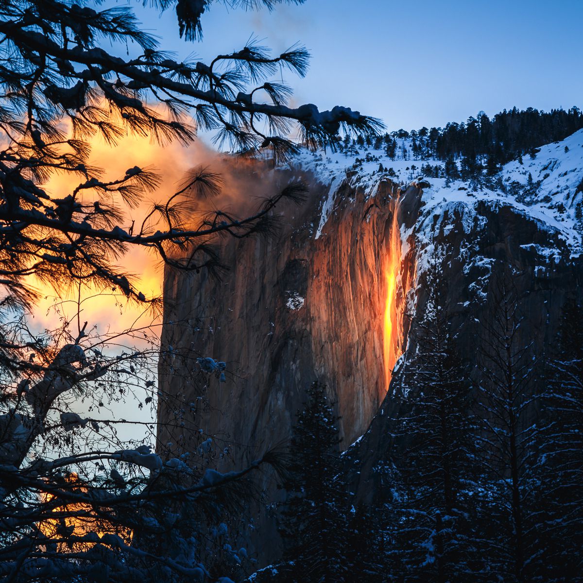 Yosemite National Park 4K Photography 2021 Wallpapers