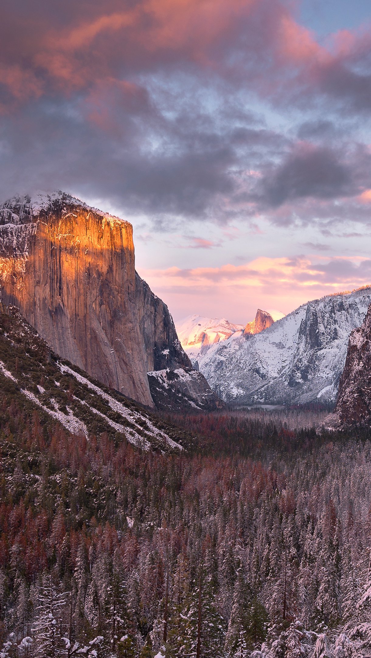 Yosemite National Park 4K Photography 2021 Wallpapers