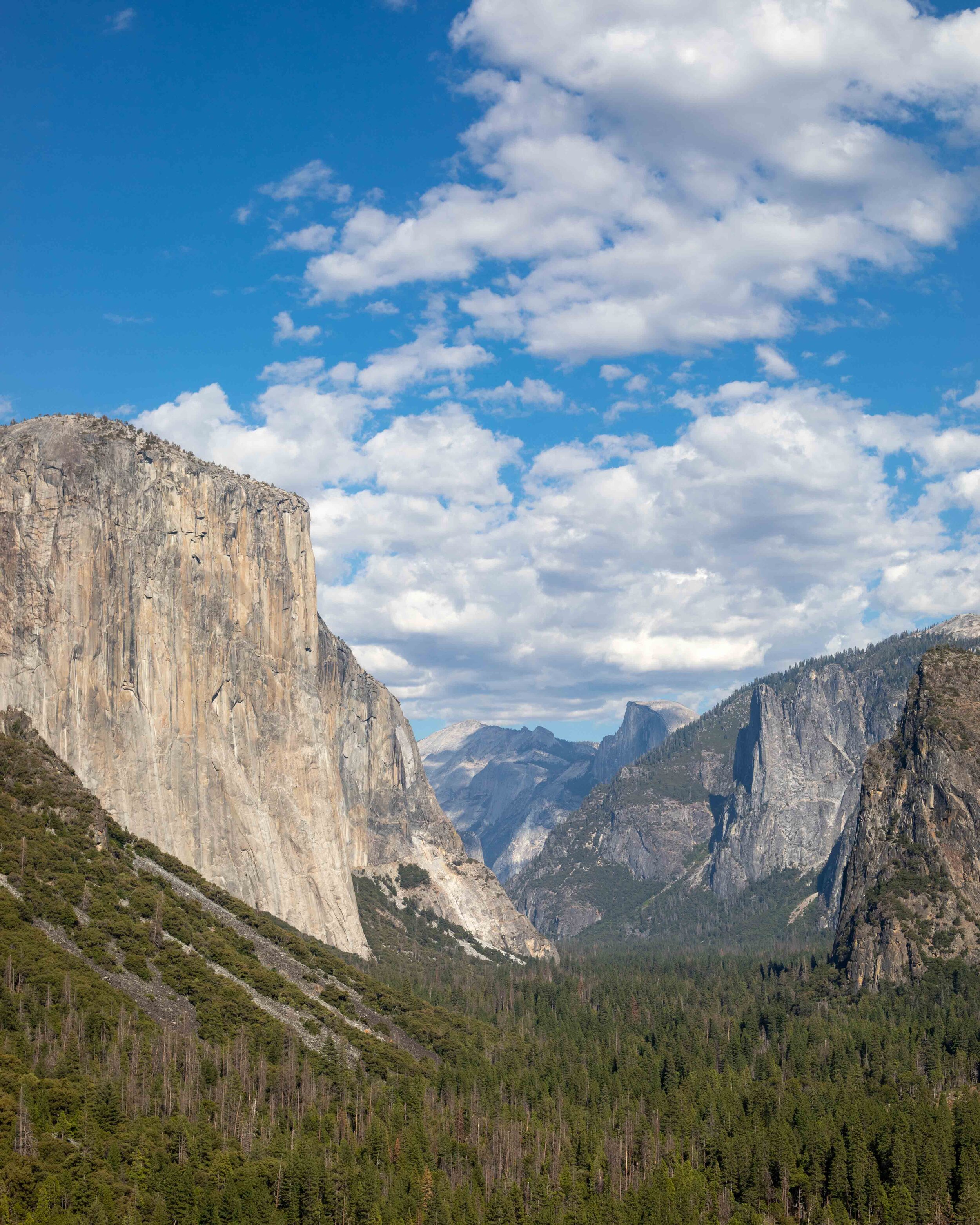 Yosemite National Park Star Trail Wallpapers