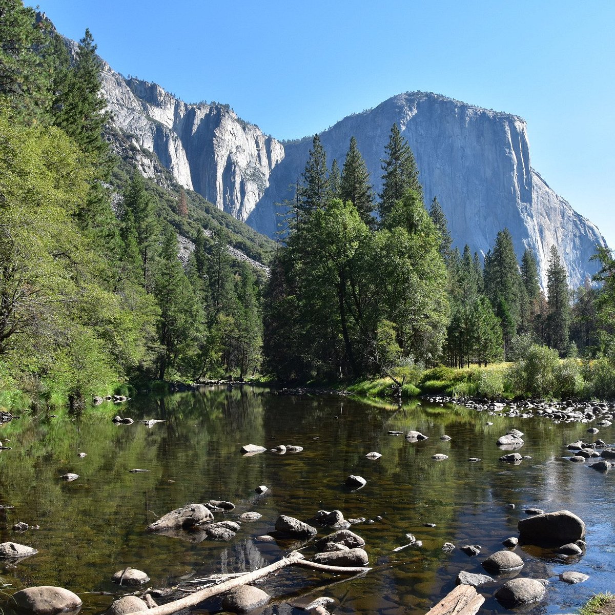 Yosemite National Park Star Trail Wallpapers