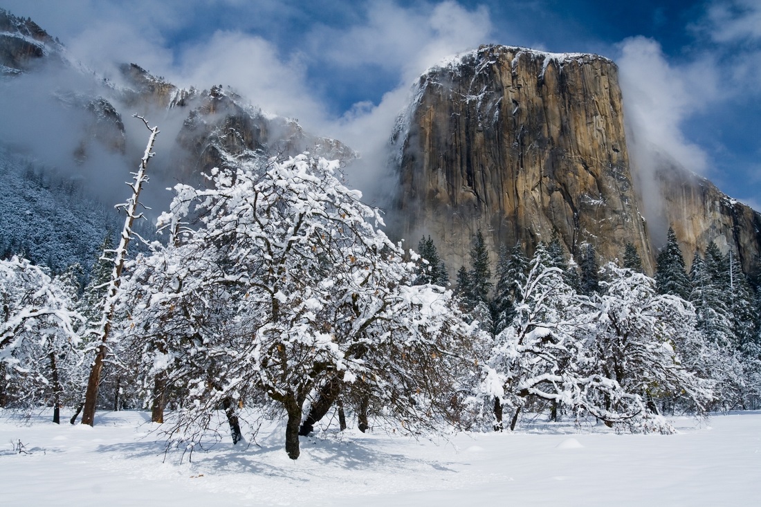 Yosemite Winter Wallpapers