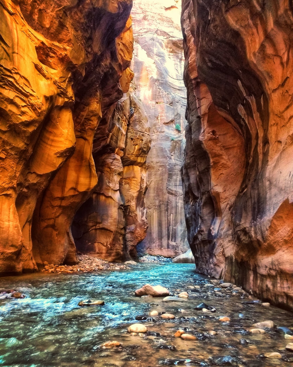 Zion National Park Evening Wallpapers