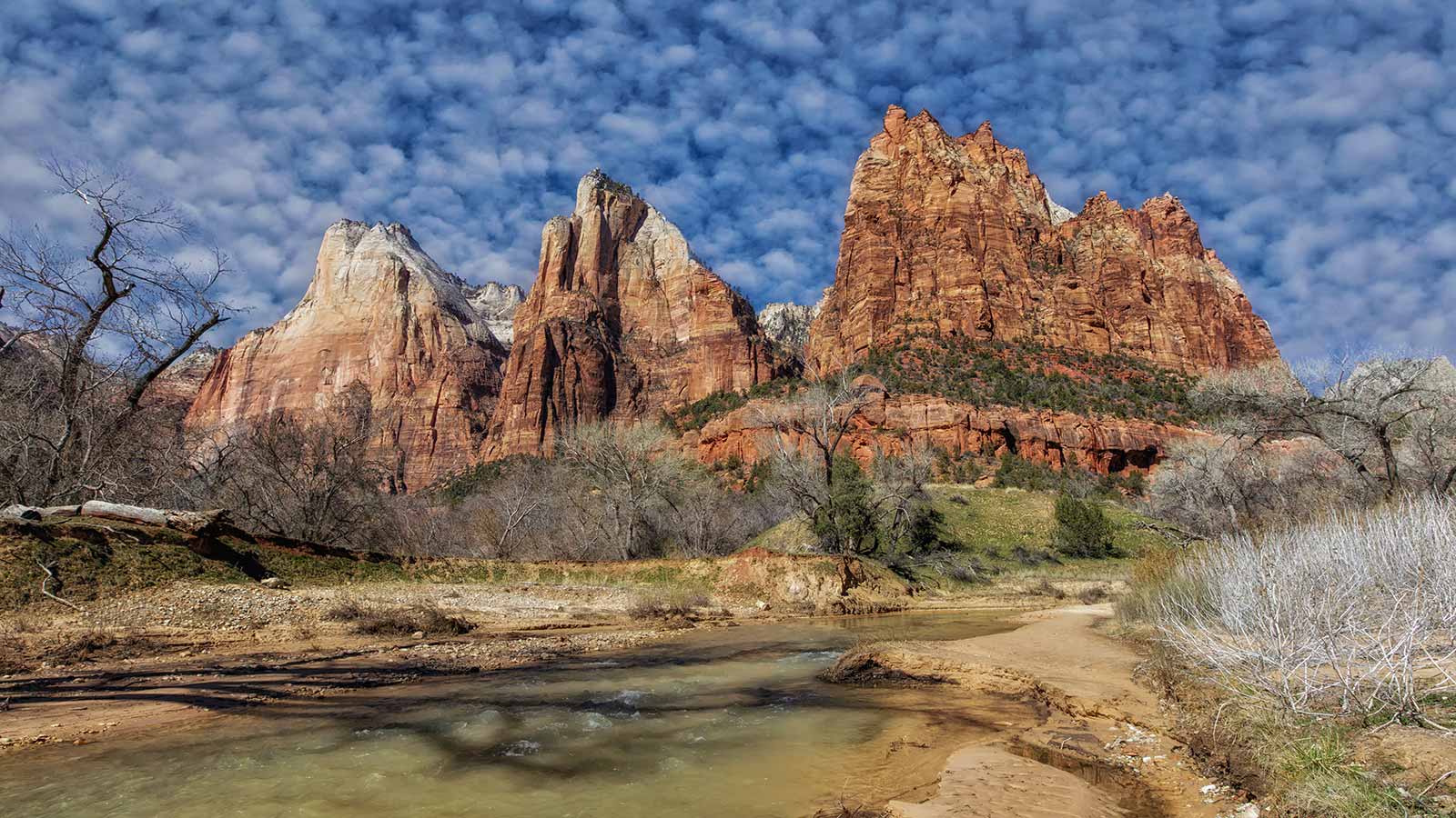 Zion National Park Evening Wallpapers