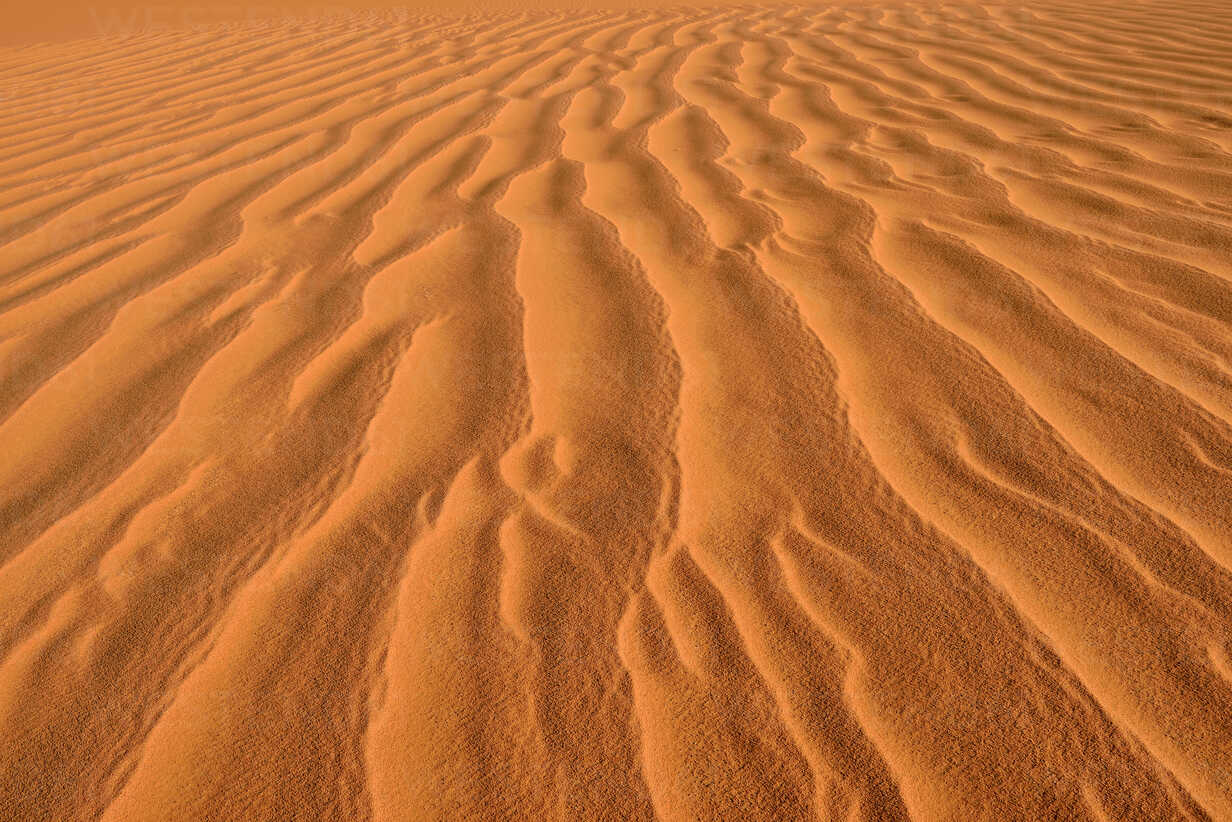 Africa Algeria Desert Wallpapers