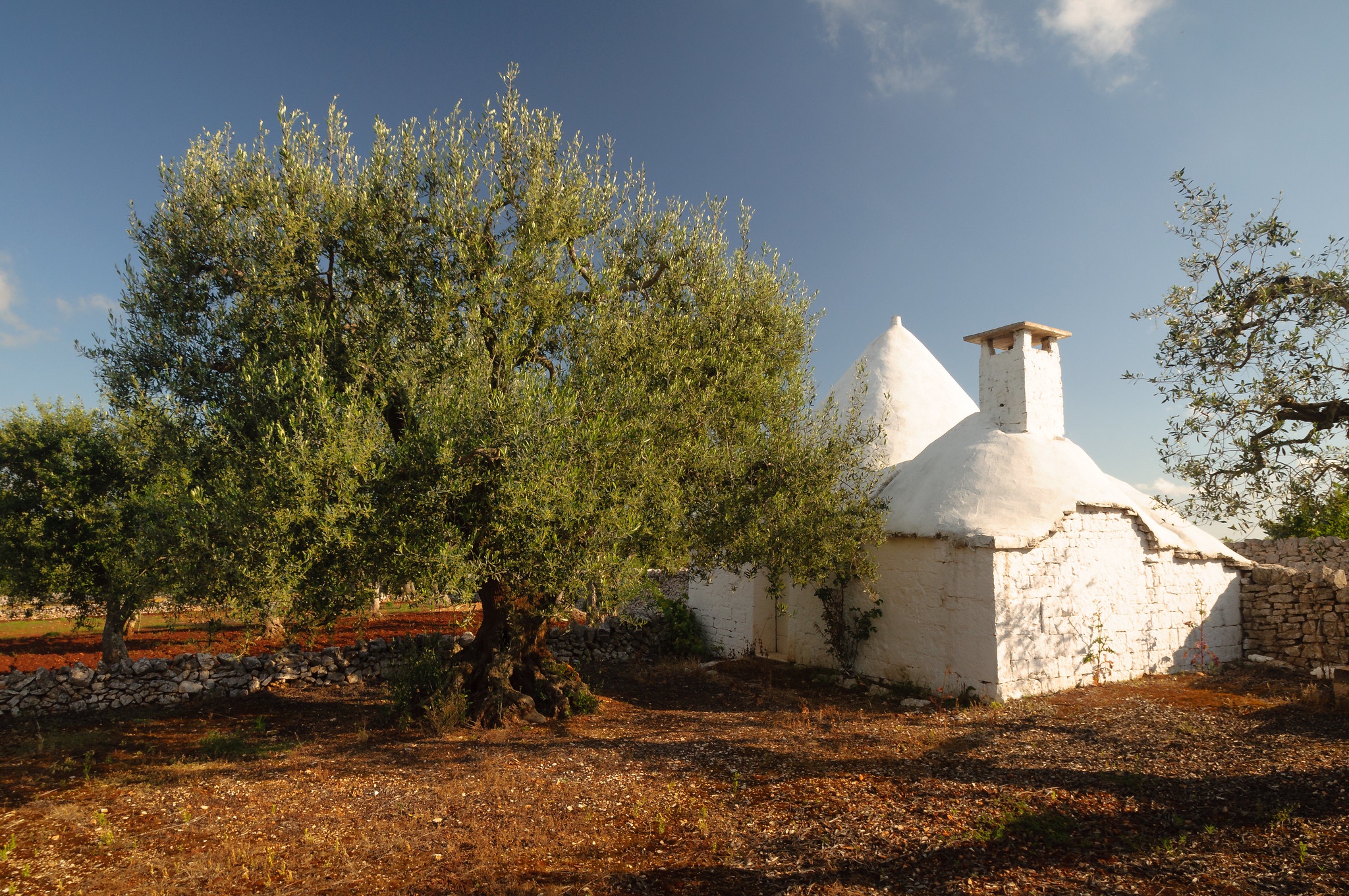 Alberobello Wallpapers