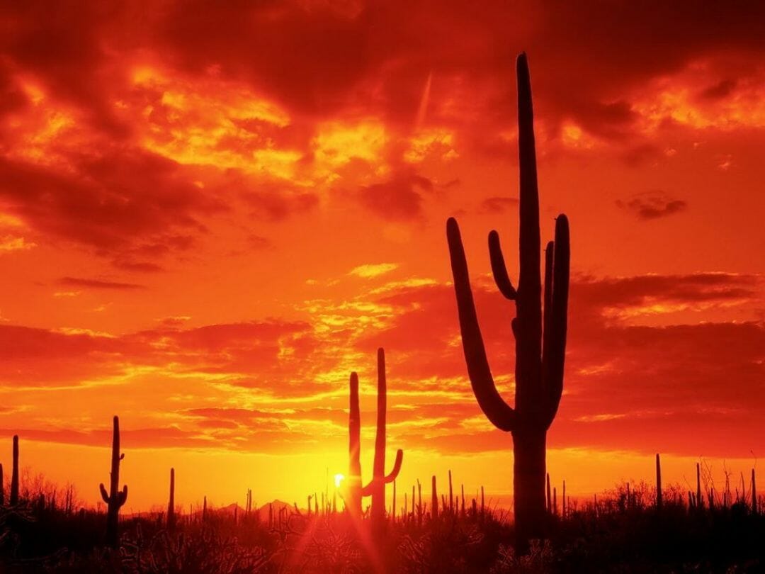 Arizona Wallpapers