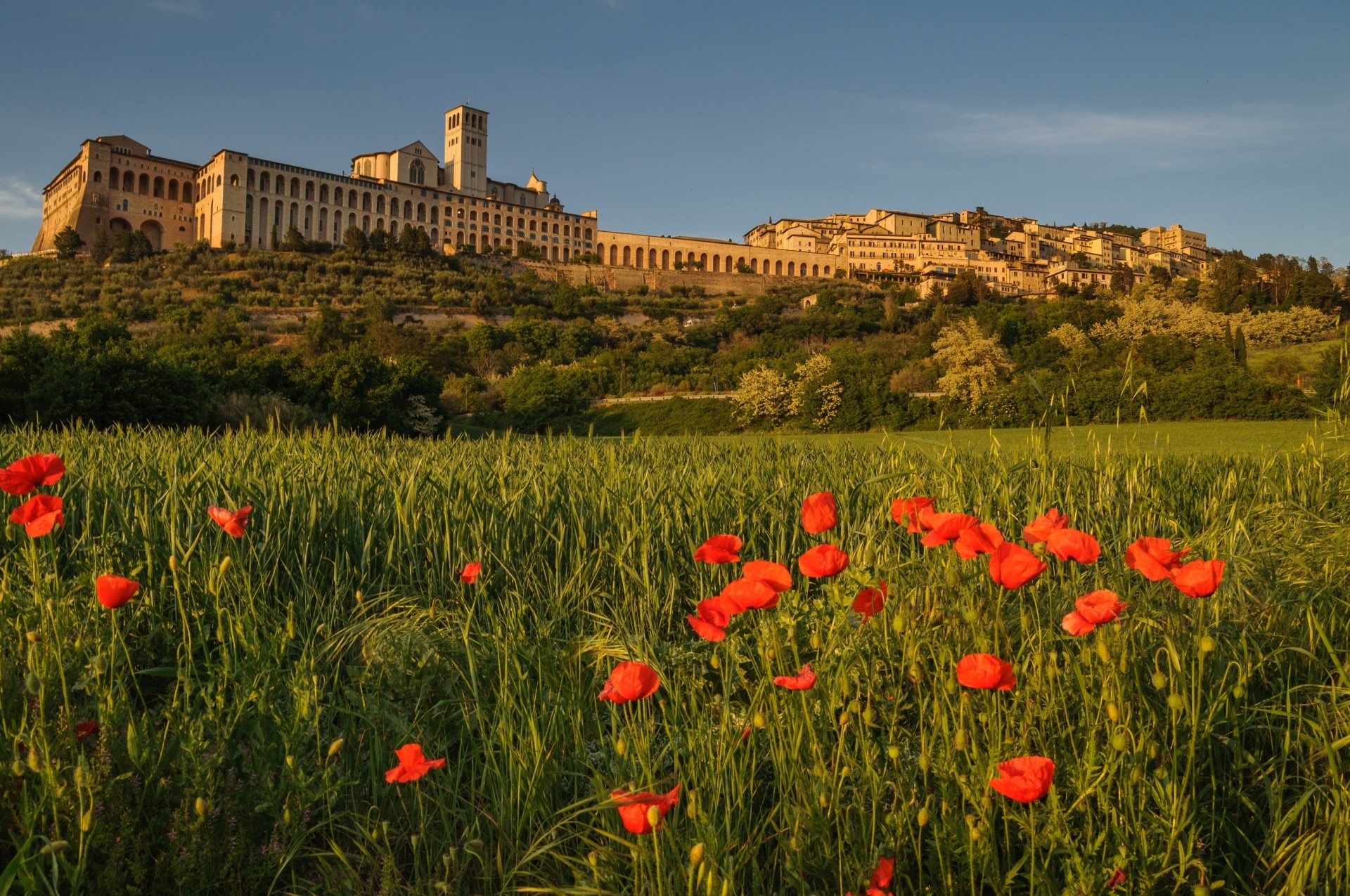 Assisi Wallpapers