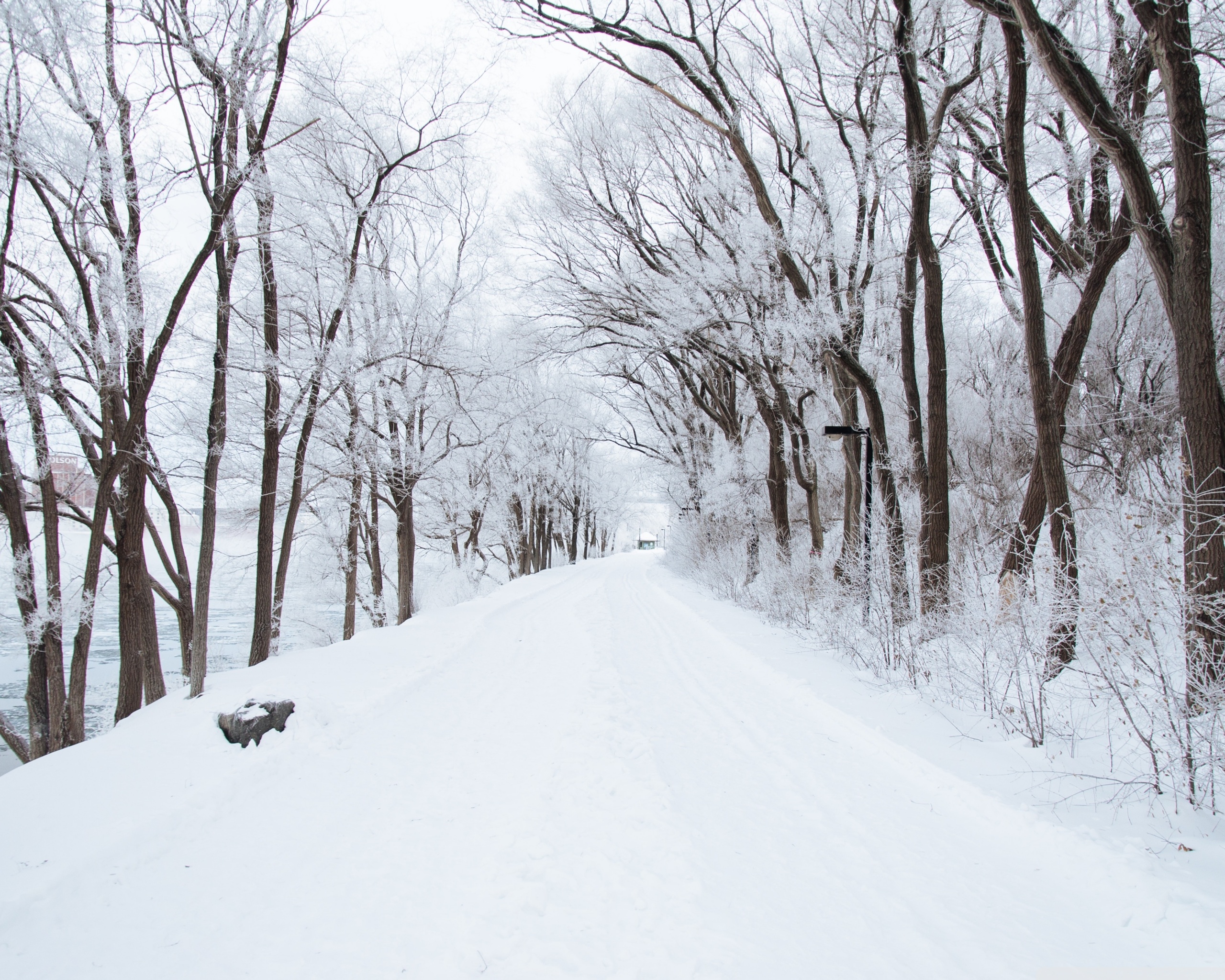 Austria Snow Forest Tree Road Wallpapers