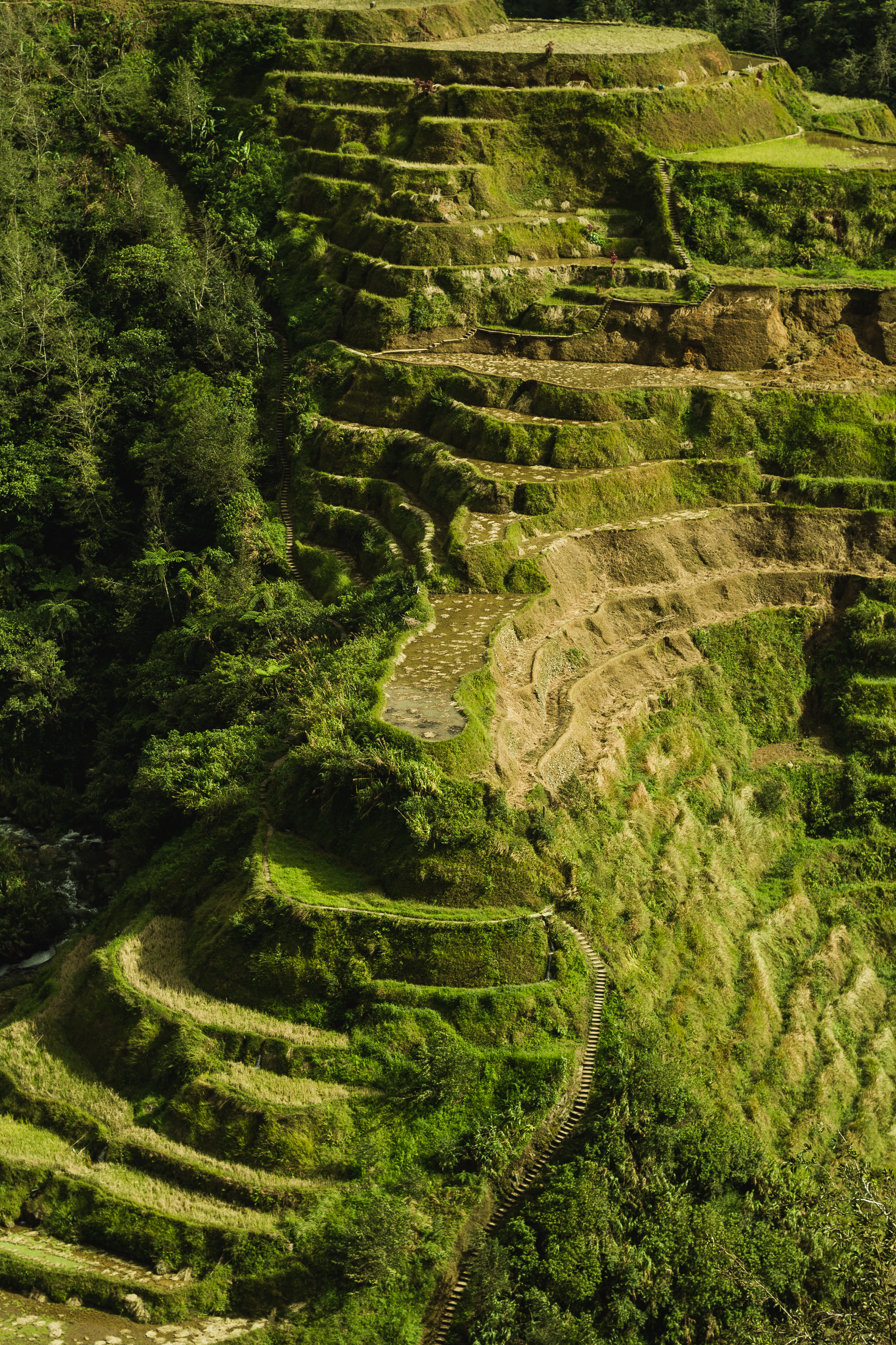 Banaue Wallpapers