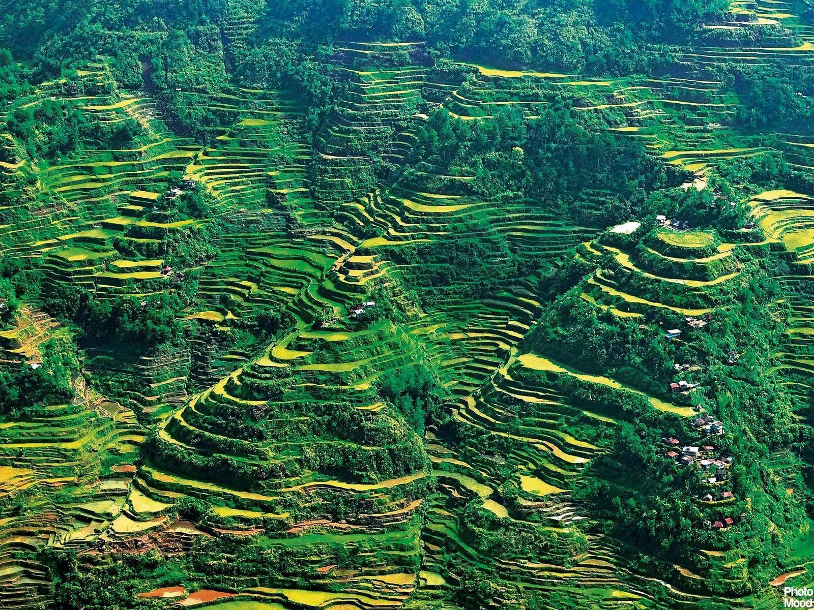 Banaue Wallpapers