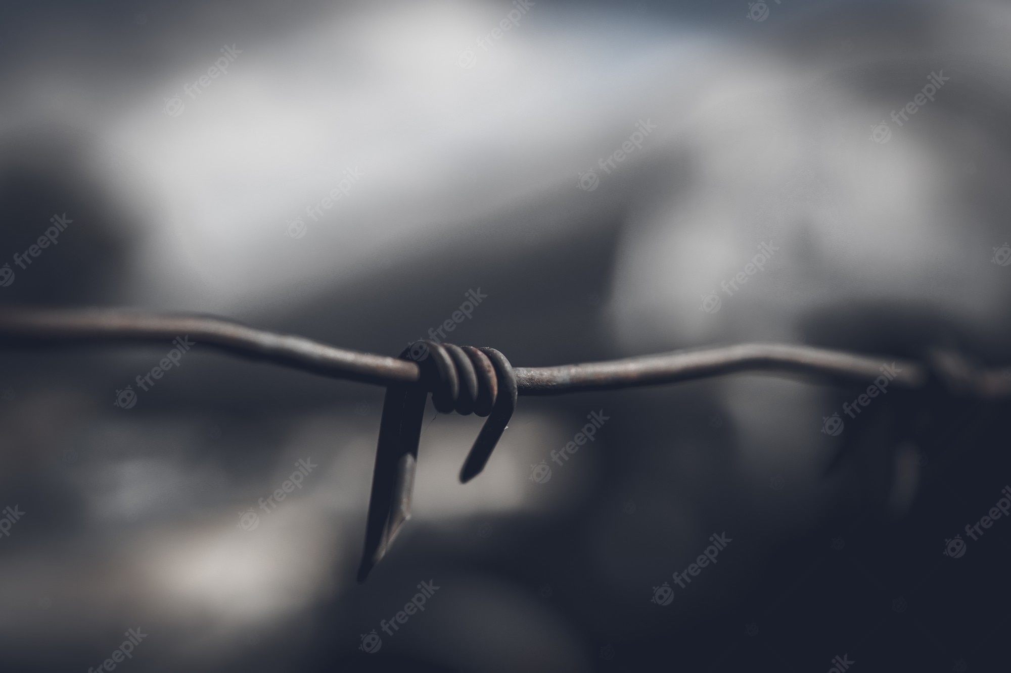 Barb Wire Wallpapers