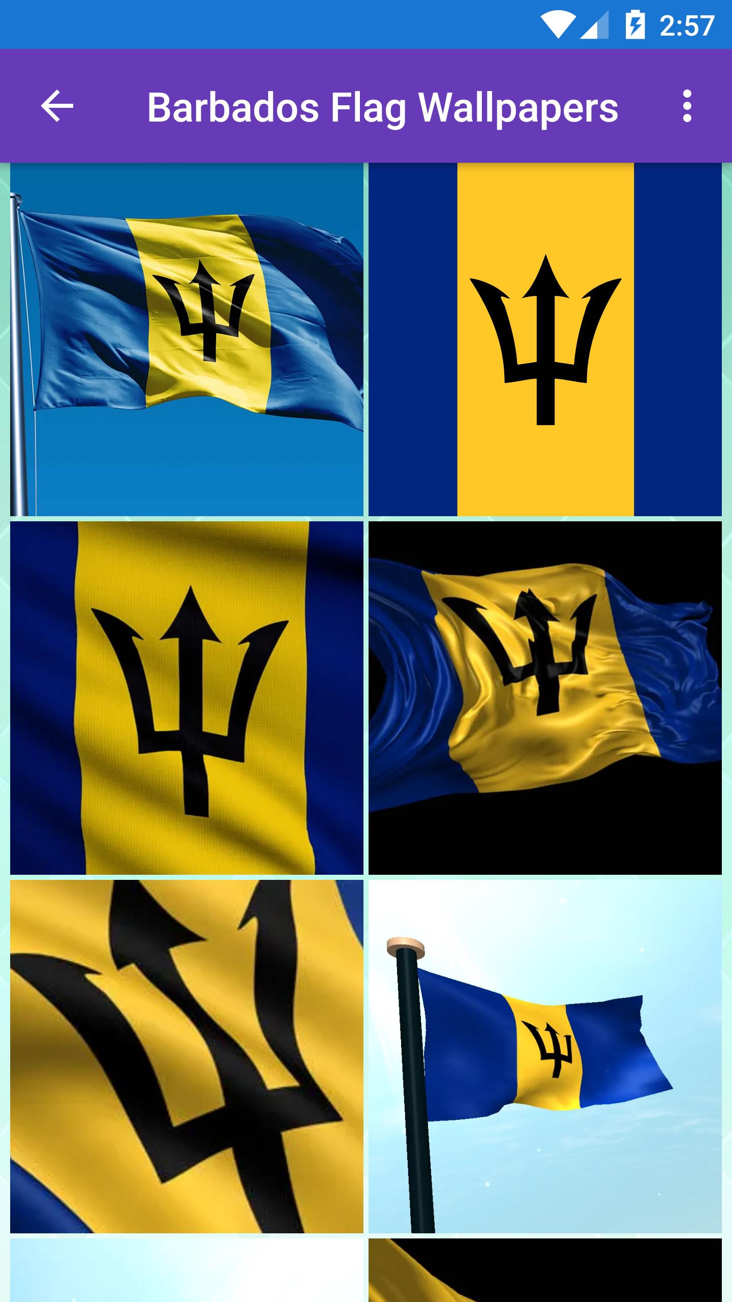 Barbados Flag Wallpapers