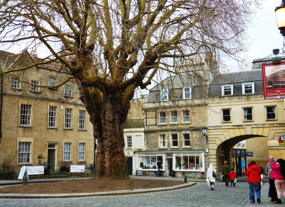 Bath Abbey Wallpapers