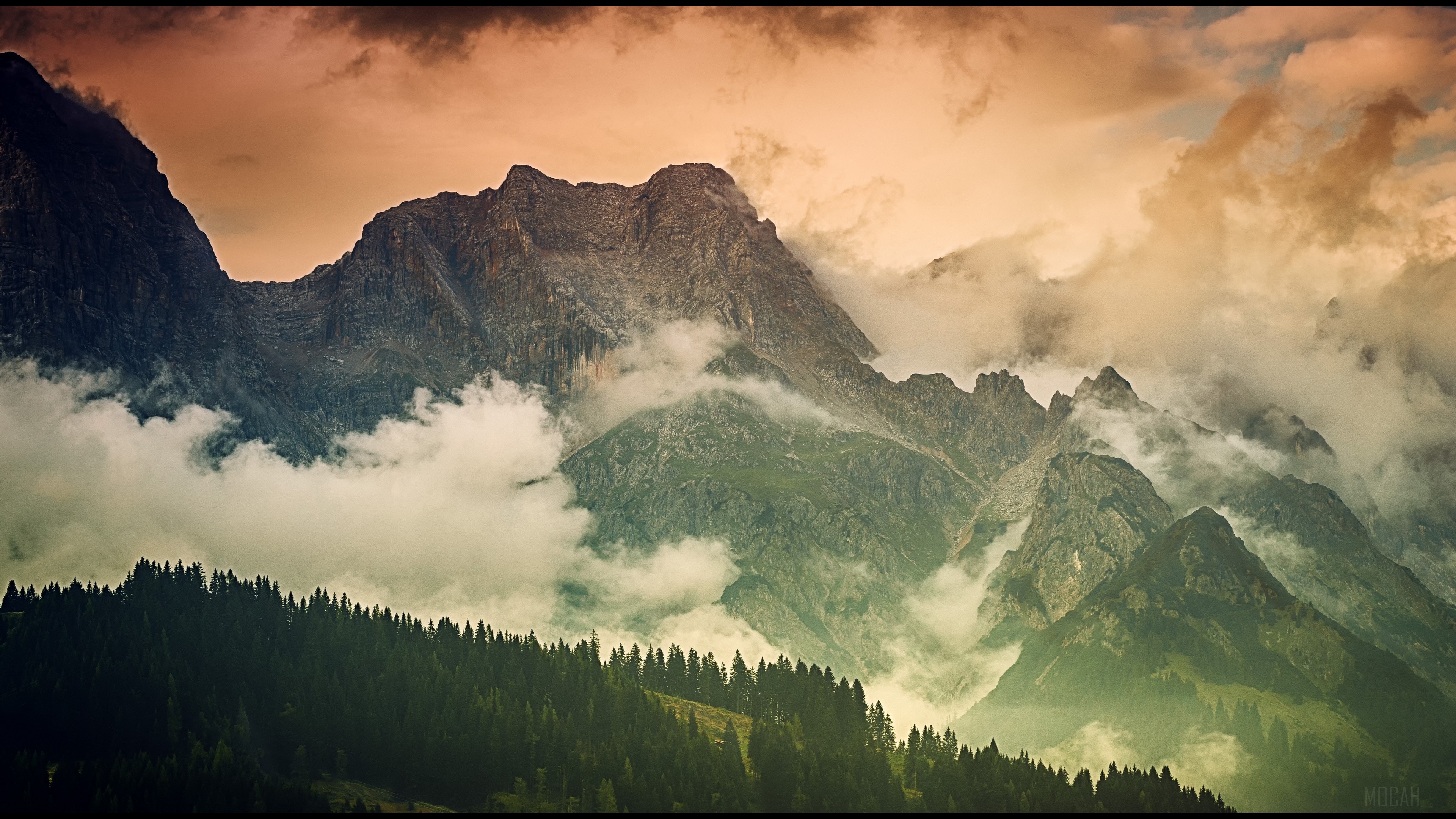 Bavarian Forest National Park Wallpapers