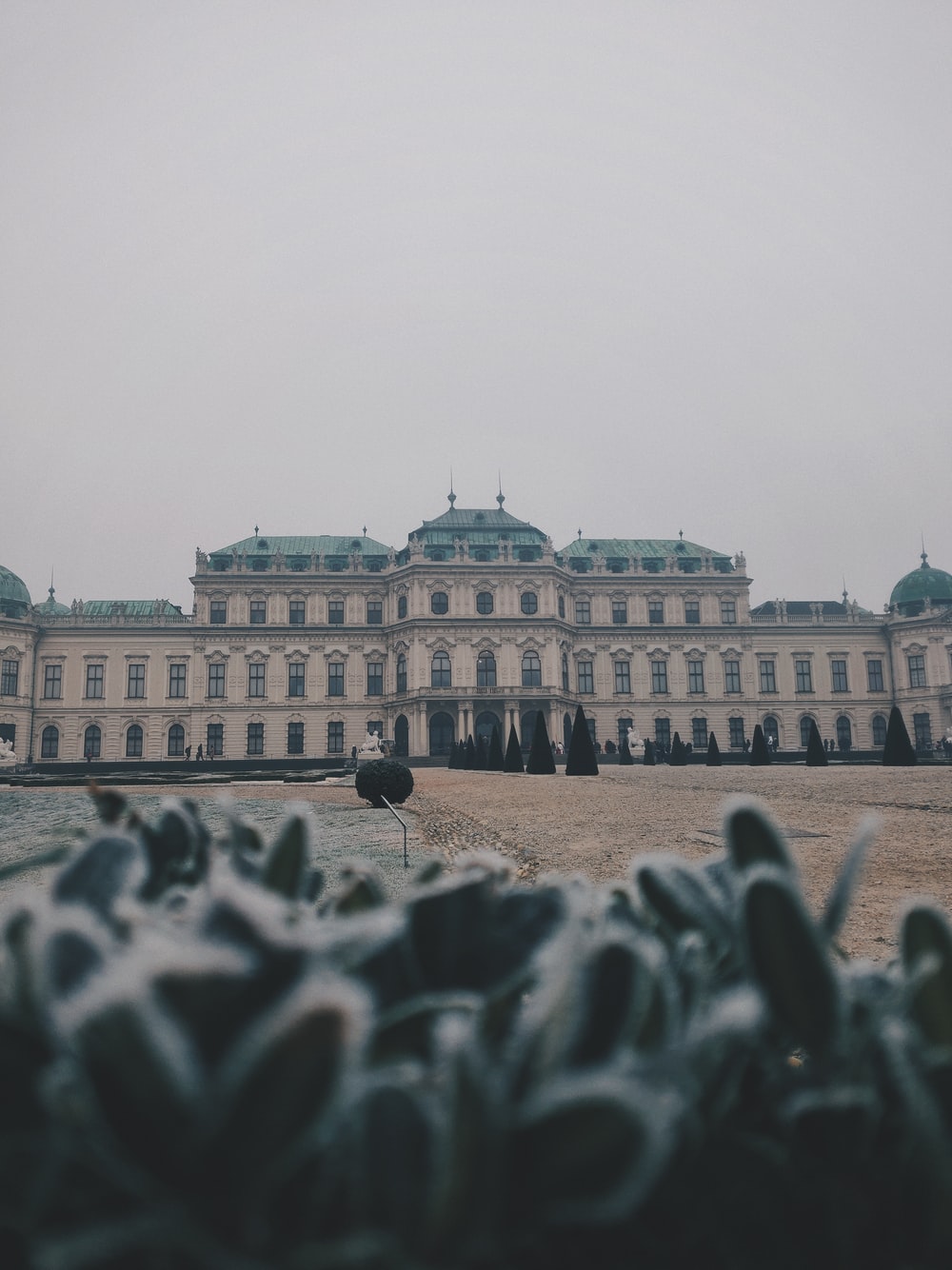 Belvedere Palace Wallpapers