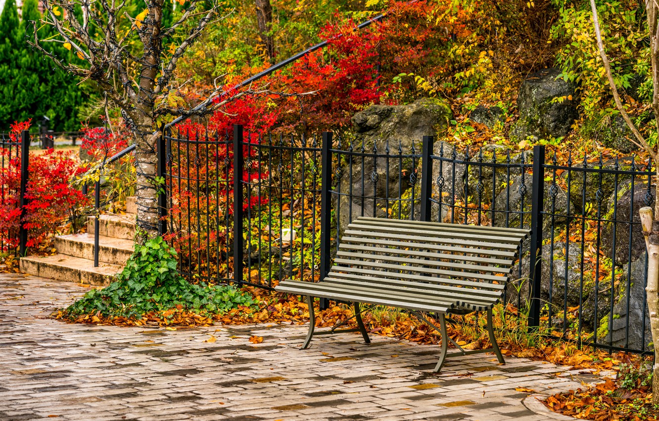 Bench And Trees From Autumn Park In Fall Wallpapers