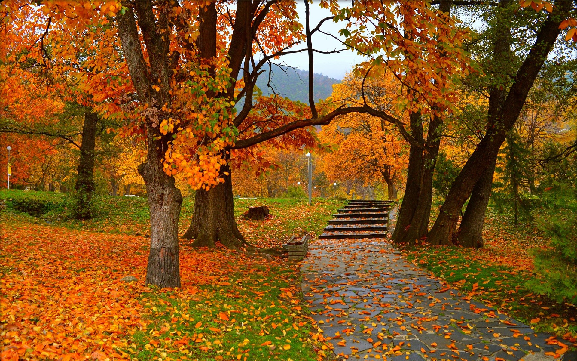 Bench And Trees From Autumn Park In Fall Wallpapers