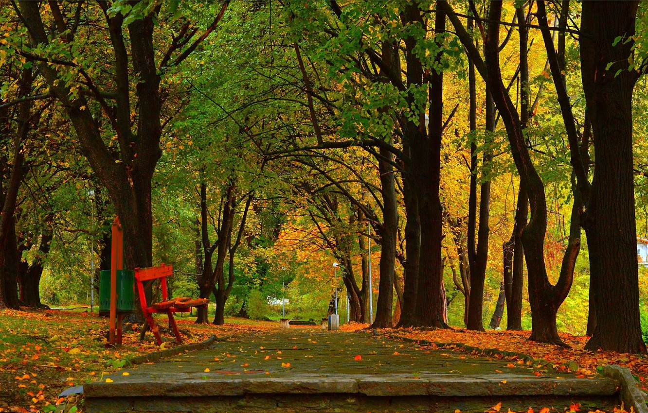 Bench And Trees From Autumn Park In Fall Wallpapers