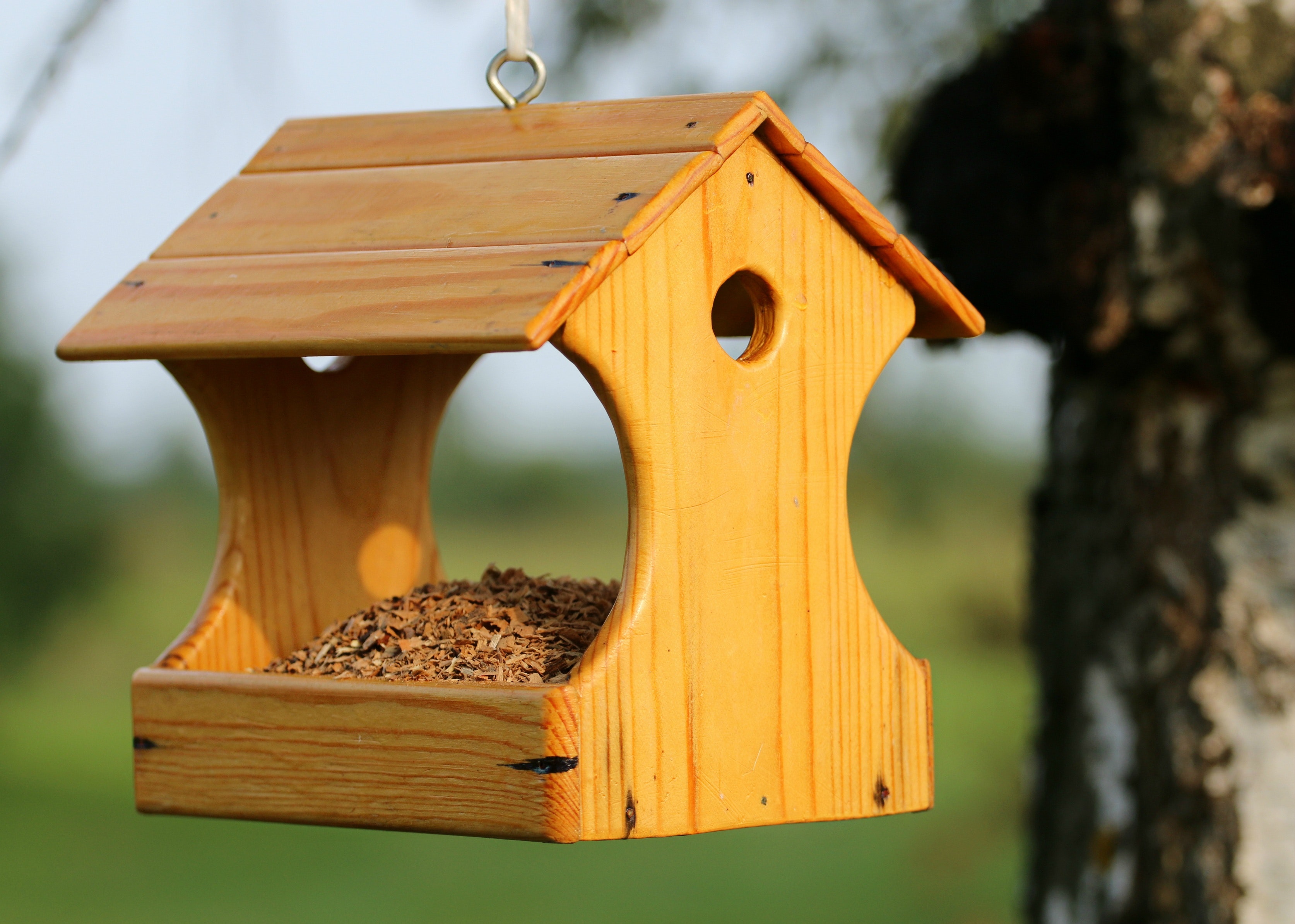 Bird House Wallpapers