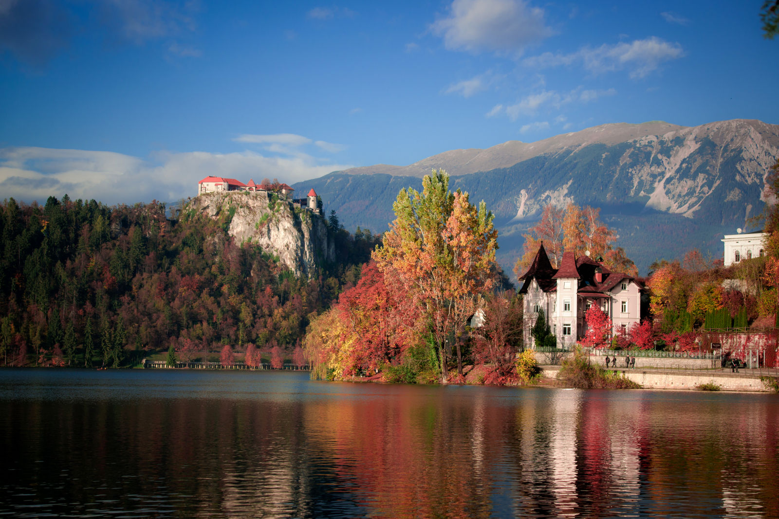 Bled Castle Wallpapers