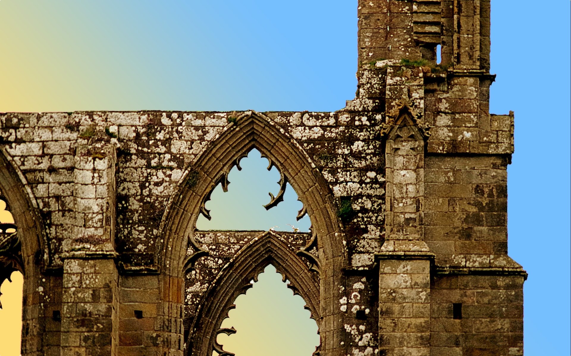 Bolton Priory Wallpapers