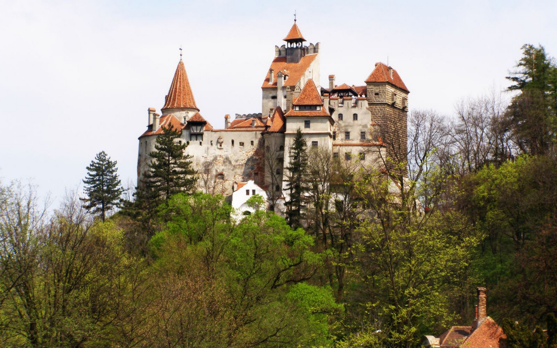 Bran Castle Wallpapers