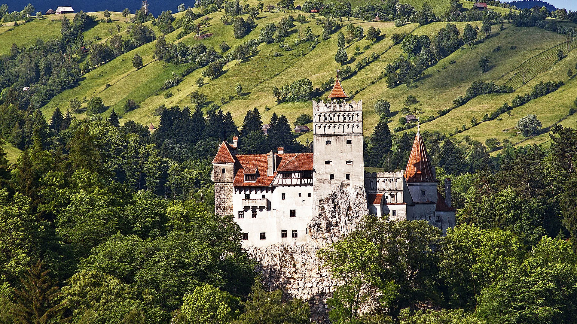 Bran Castle Wallpapers