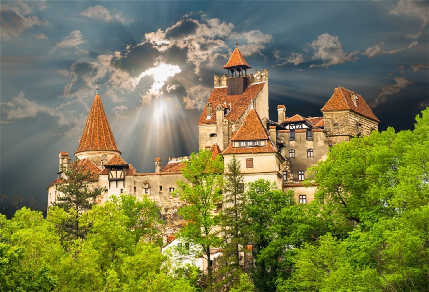 Bran Castle Wallpapers