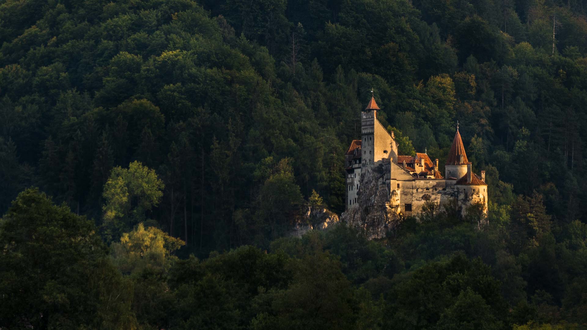 Bran Castle Wallpapers