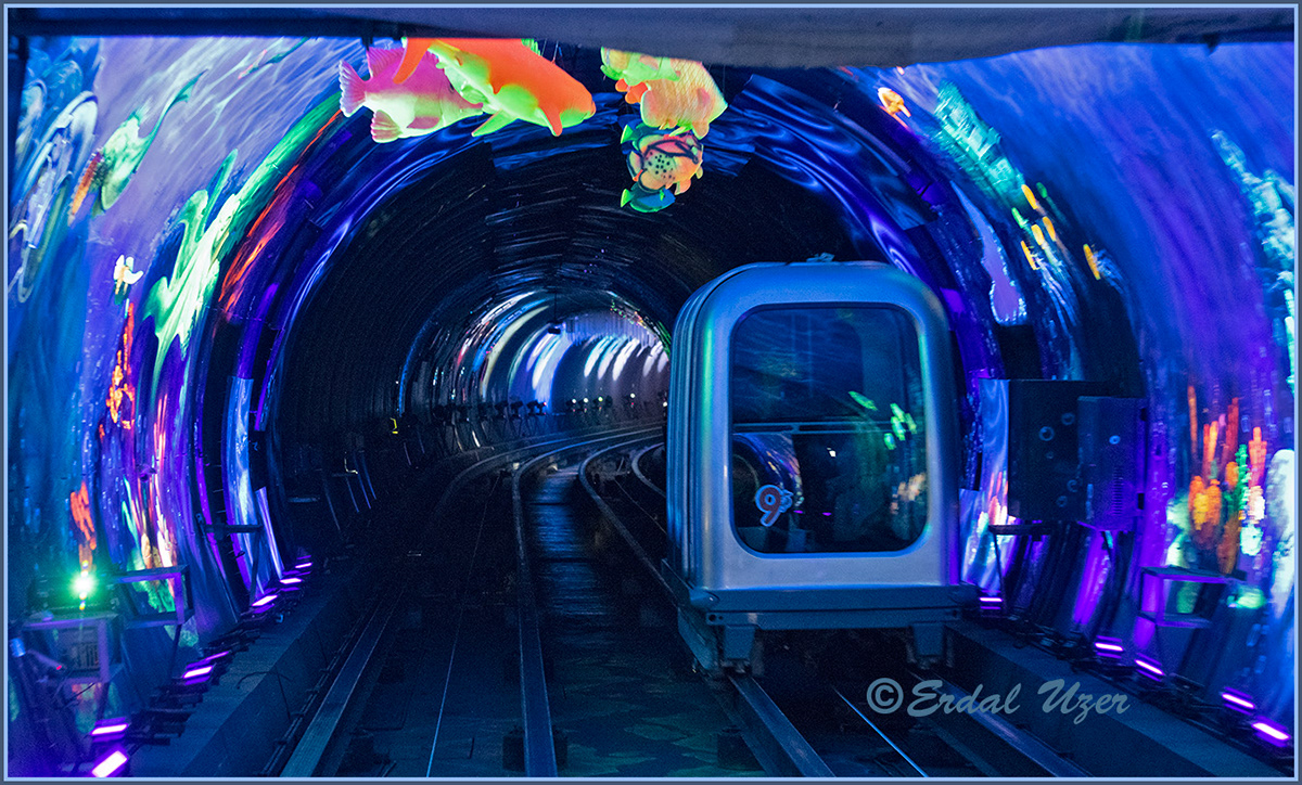 Bund Sightseeing Tunnel Wallpapers