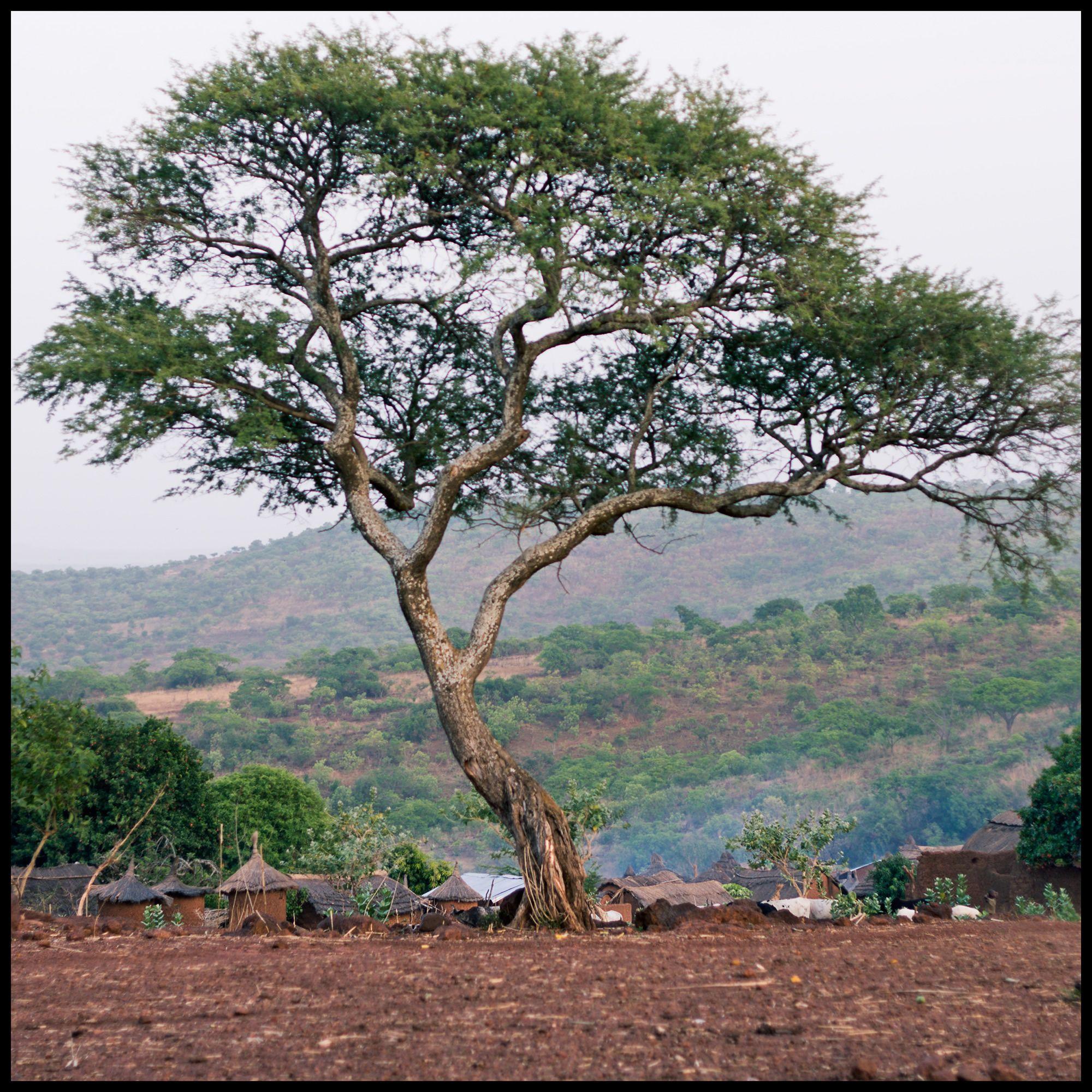 Burkina Faso Wallpapers