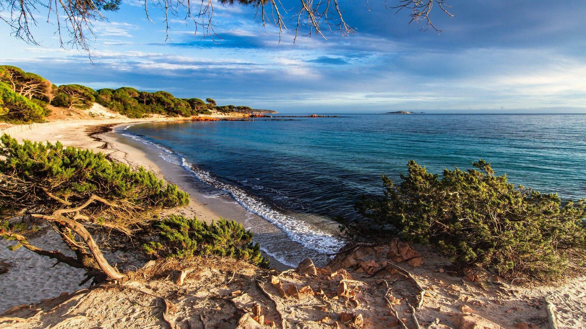 Calvi, Haute-Corse Wallpapers