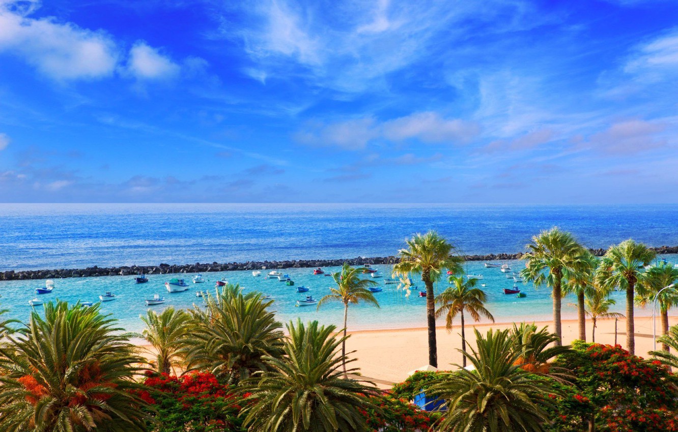 Canary Islands Wallpapers