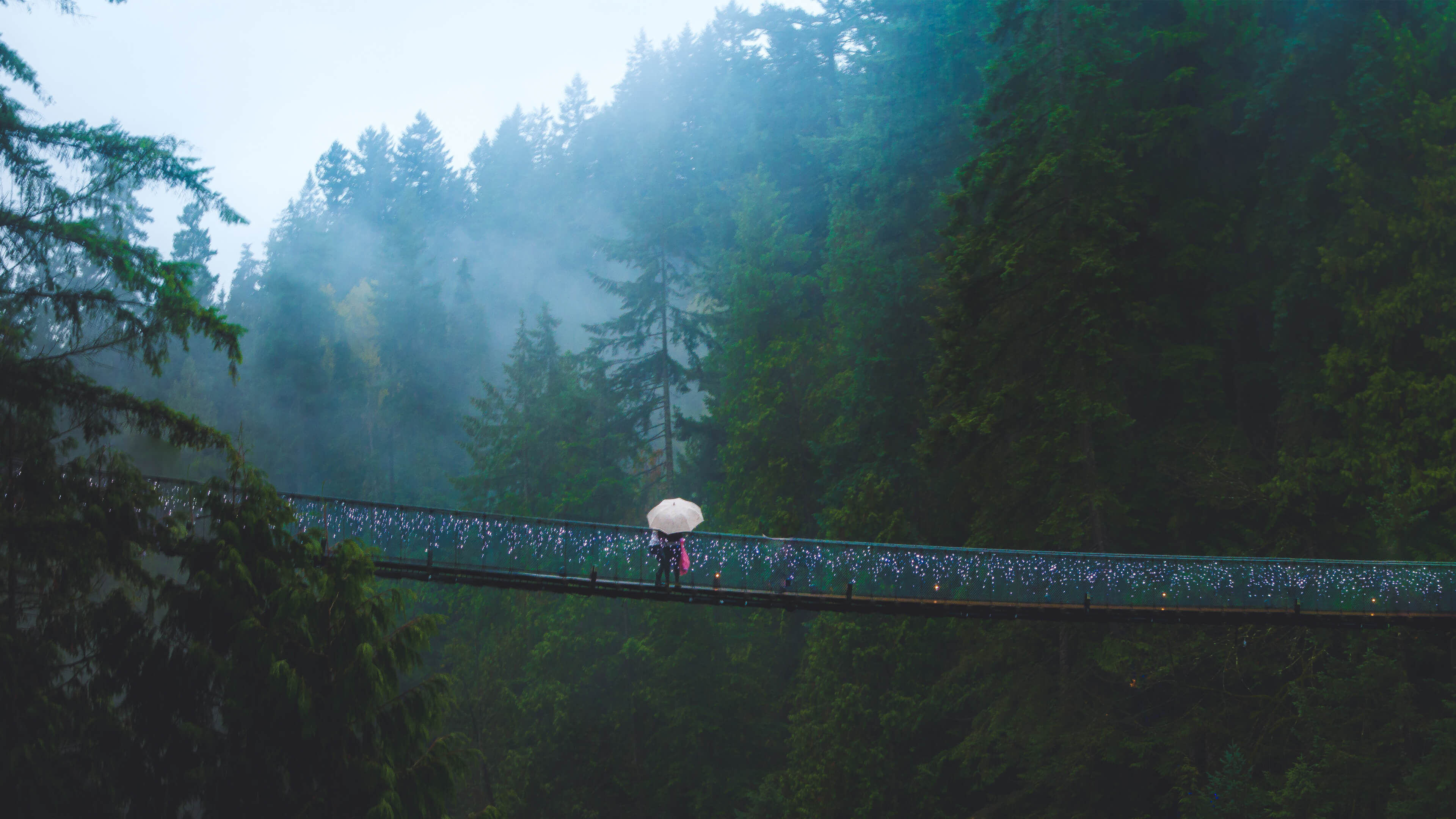 Capilano Suspension Bridge Wallpapers