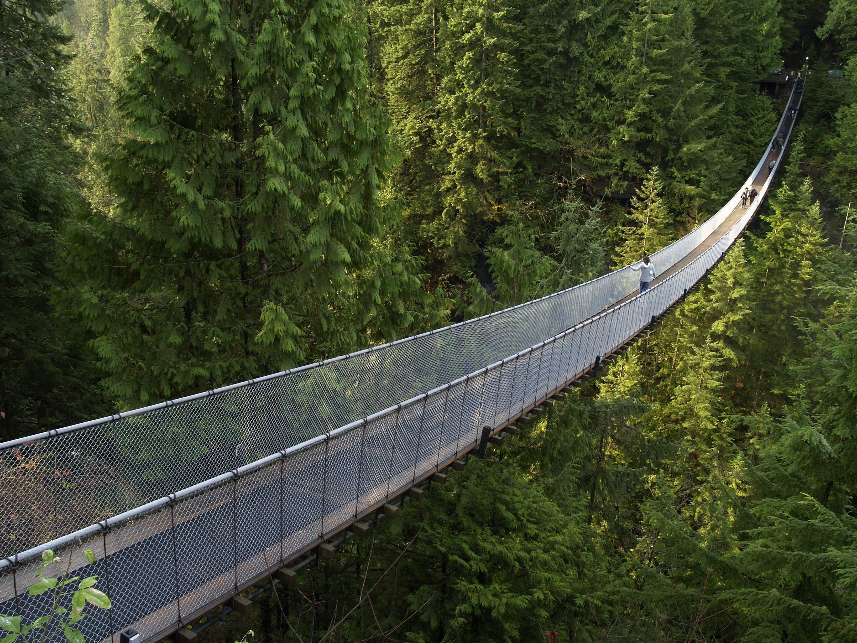 Capilano Suspension Bridge Wallpapers