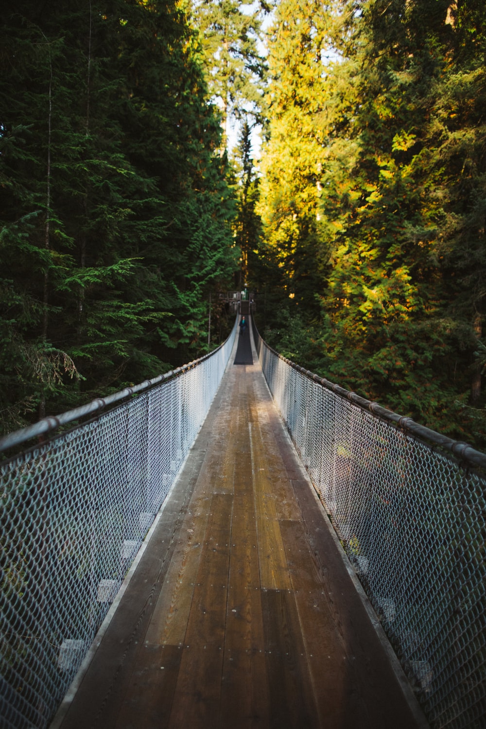 Capilano Suspension Bridge Wallpapers