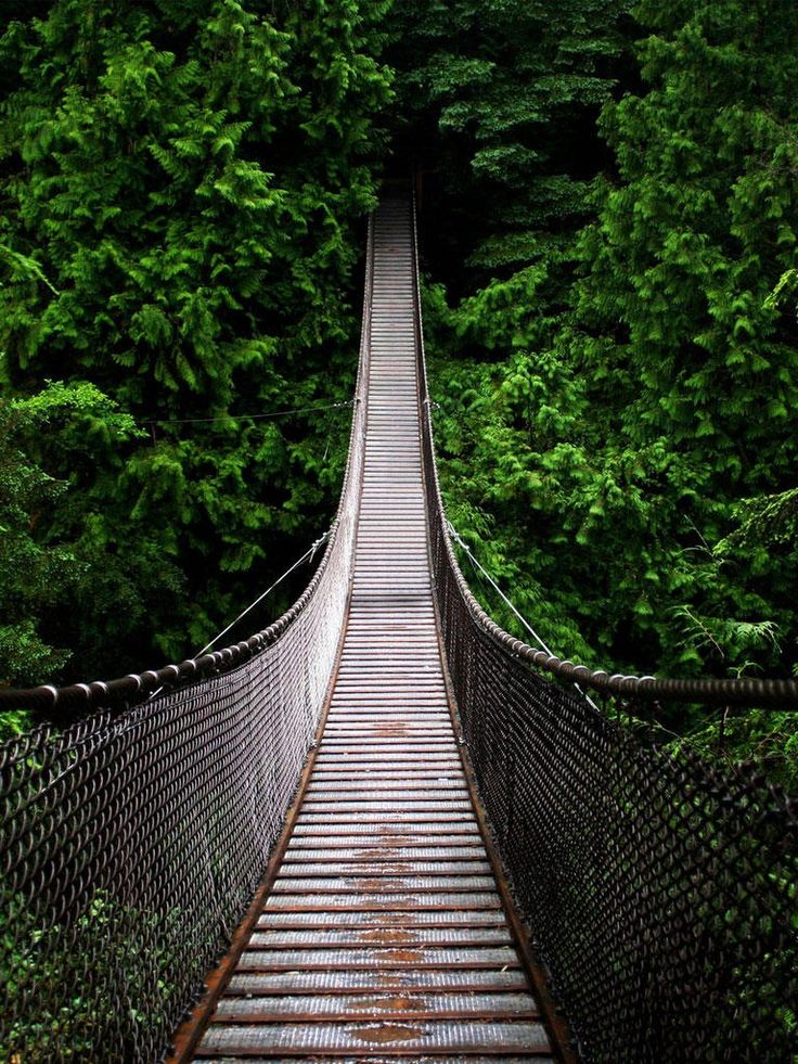 Capilano Suspension Bridge Wallpapers