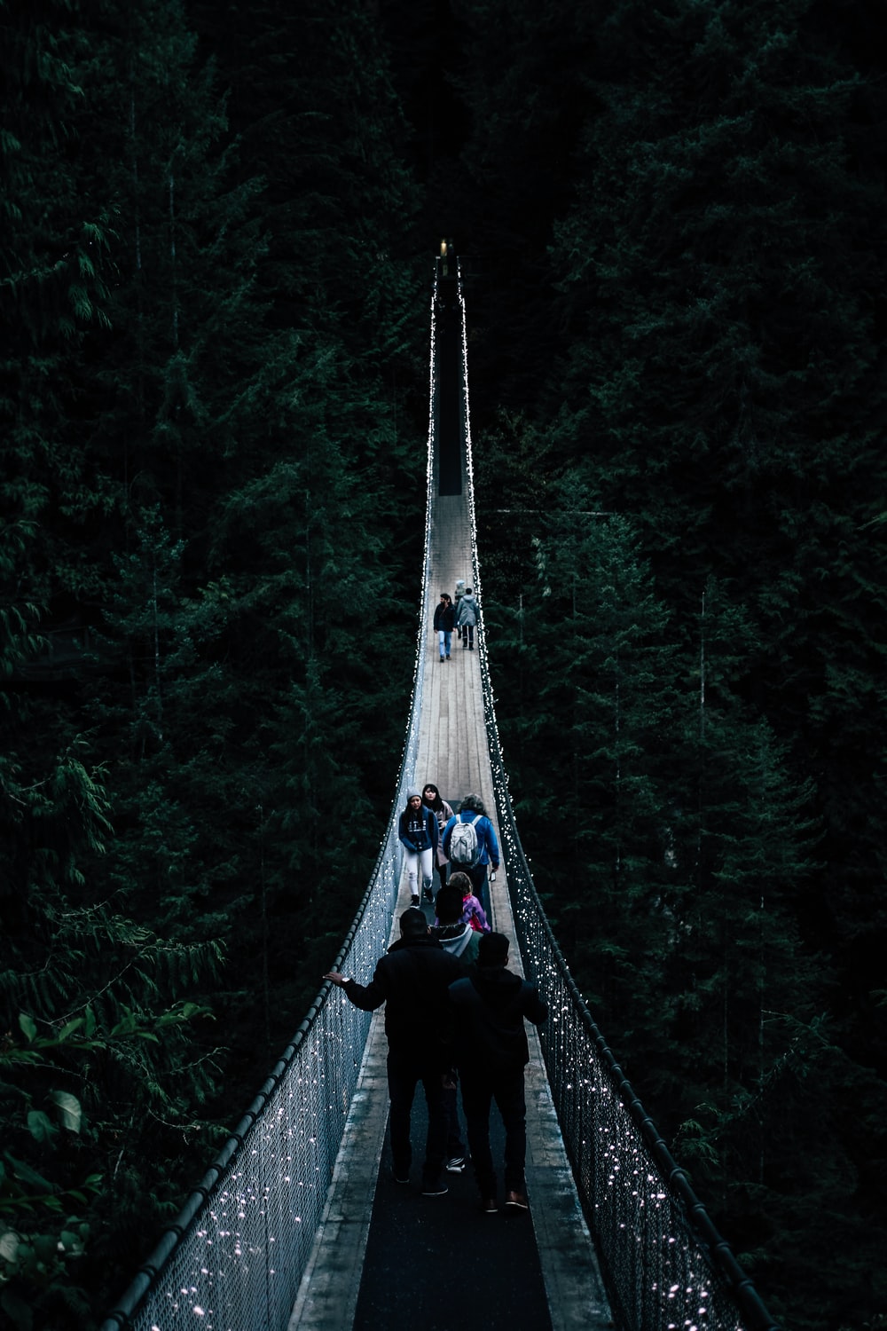 Capilano Suspension Bridge Wallpapers