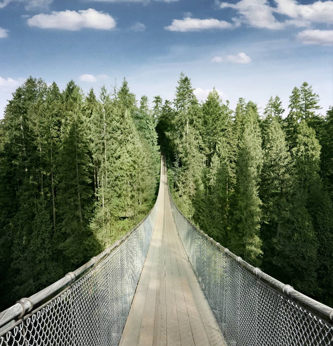 Capilano Suspension Bridge Wallpapers