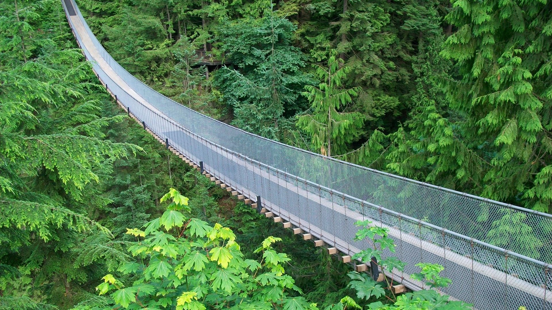 Capilano Suspension Bridge Wallpapers