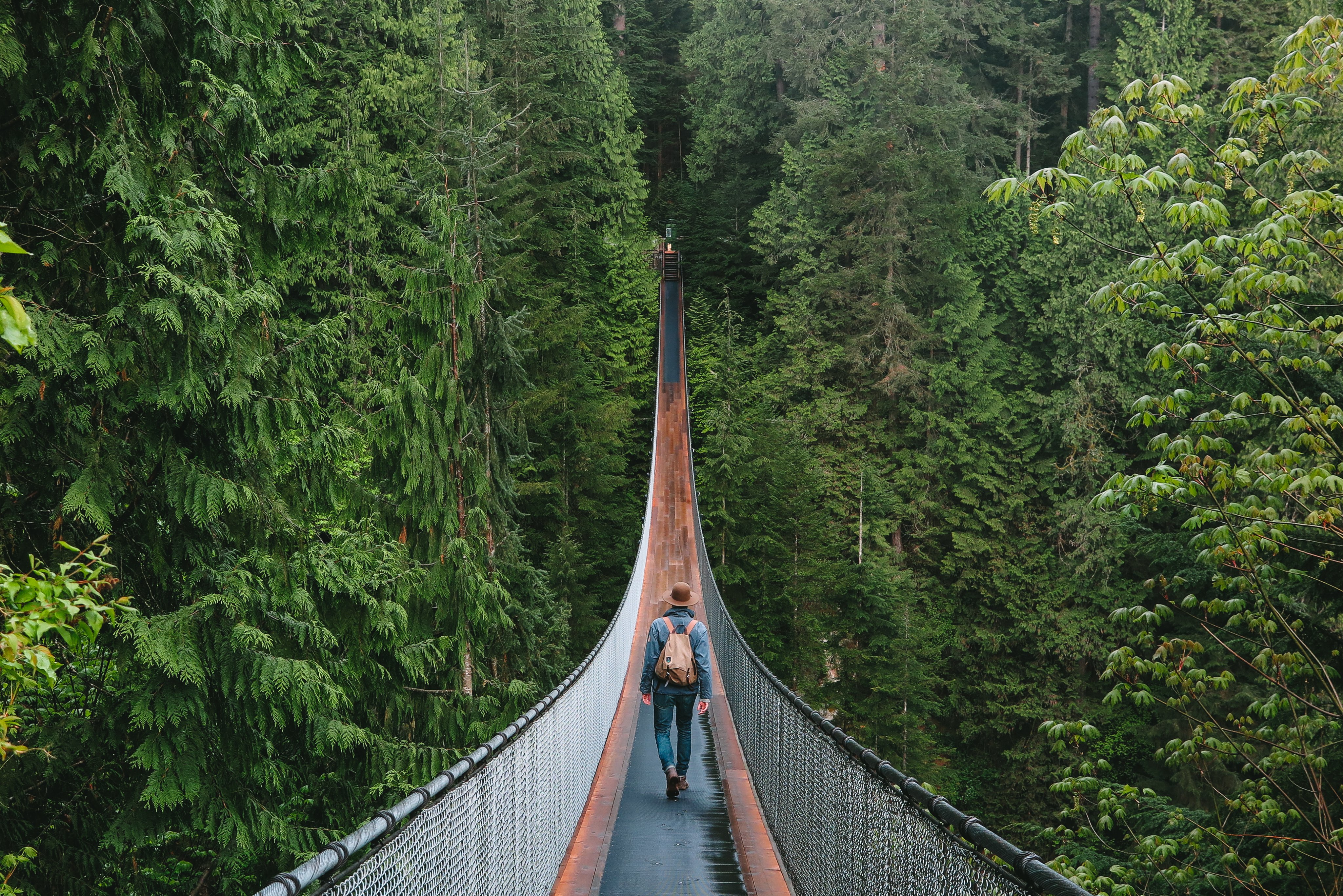 Capilano Suspension Bridge Wallpapers